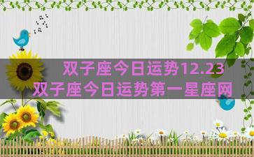 双子座今日运势12.23 双子座今日运势第一星座网